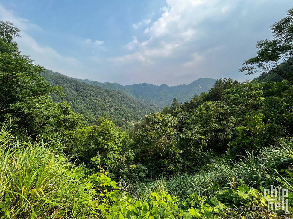 IMG_7903_副本.jpg