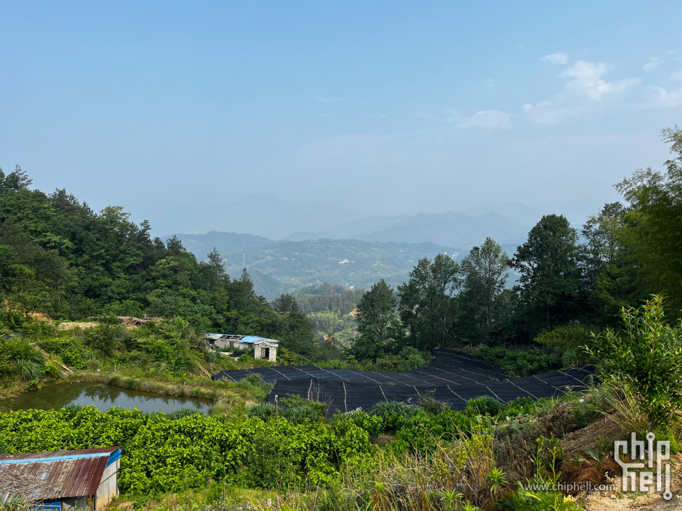 IMG_7937_副本.jpg