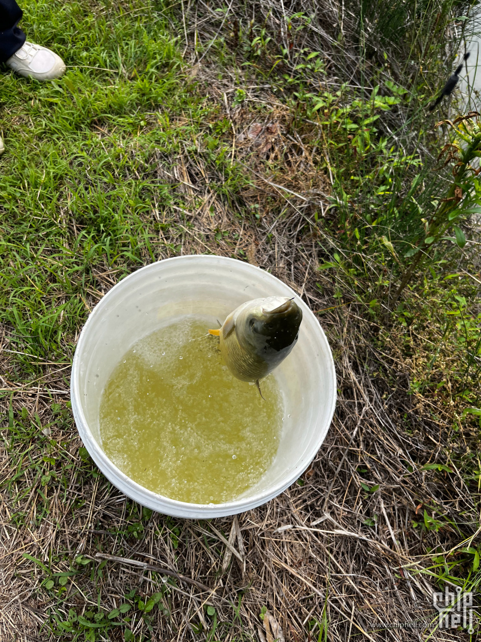 IMG_7949_副本.jpg