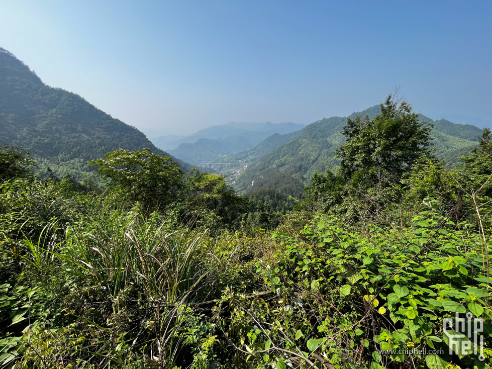 IMG_8022_副本.jpg