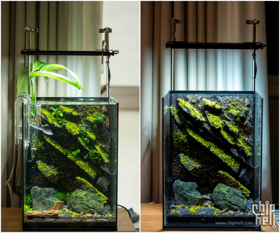 水晶虾缸.jpg