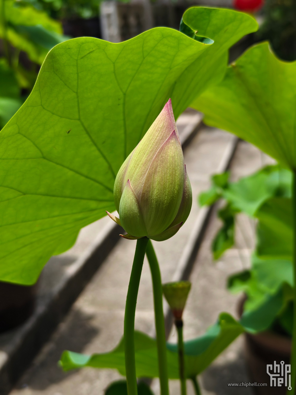 Image00002.jpg
