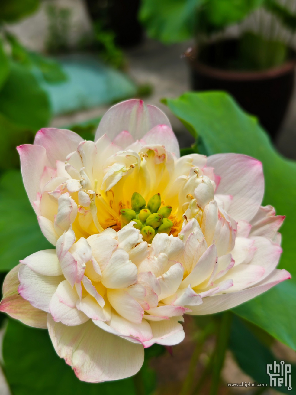 Image00003.jpg