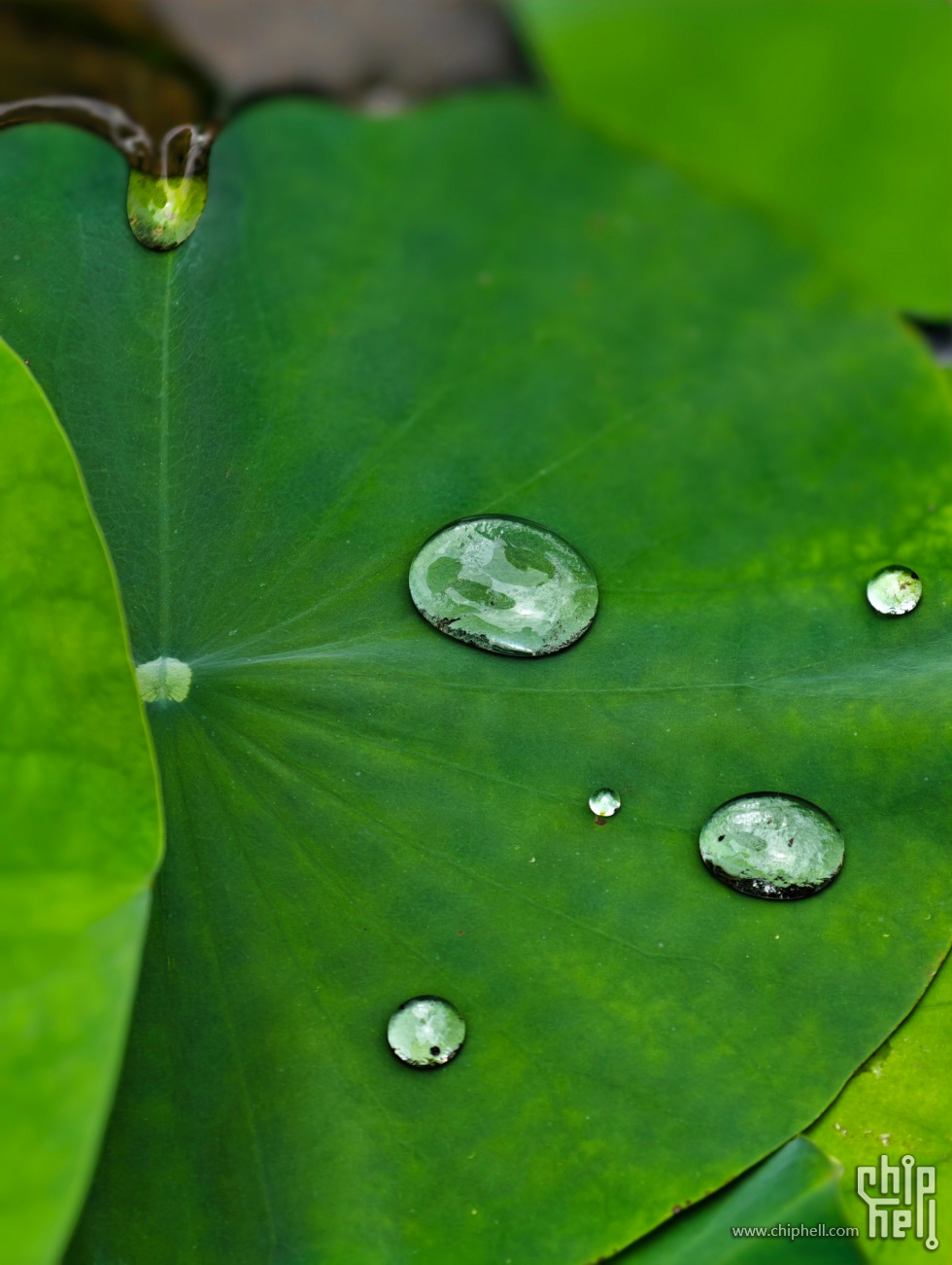 Image00009.jpg