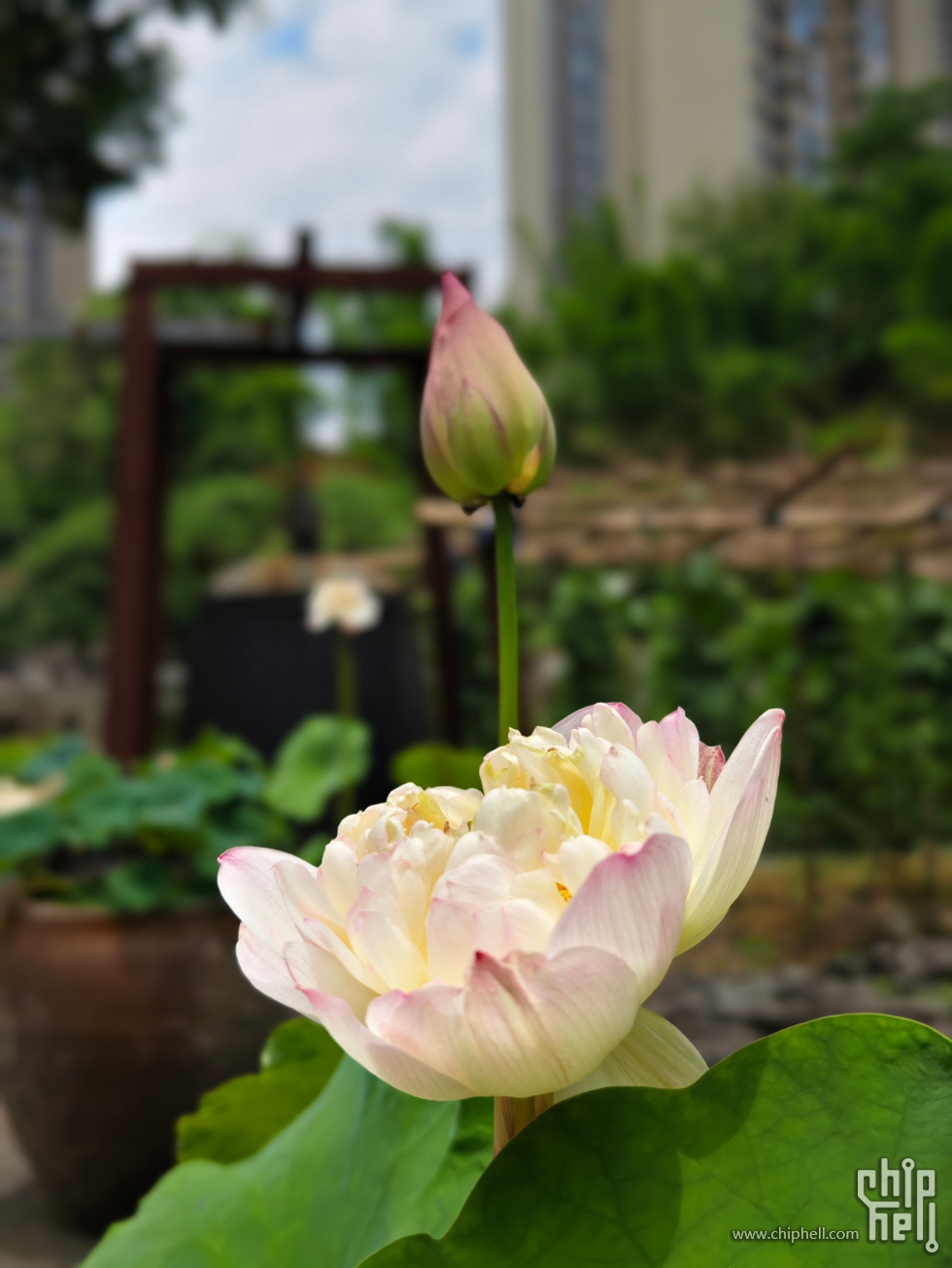 Image00010.jpg