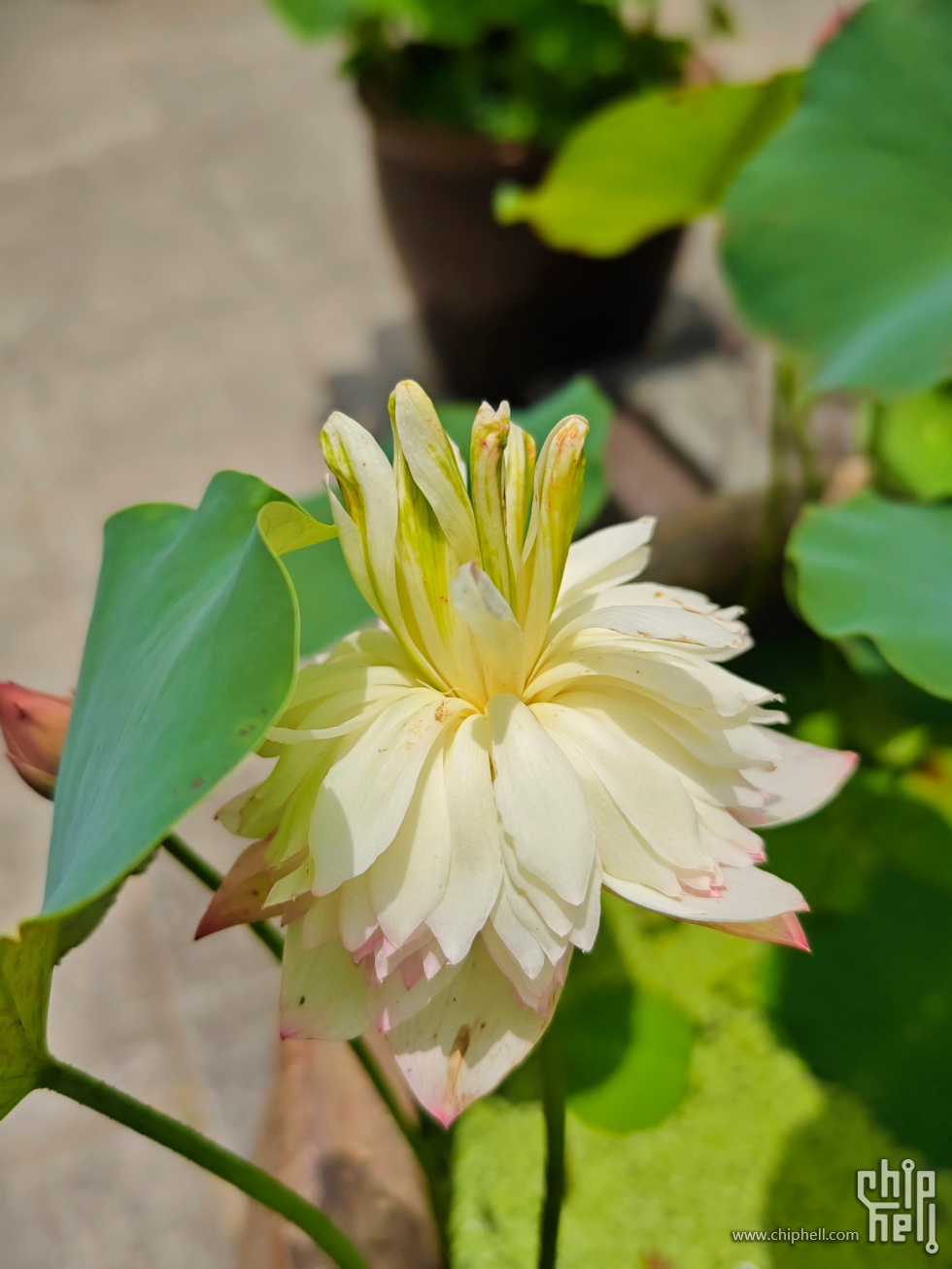Image00014.jpg