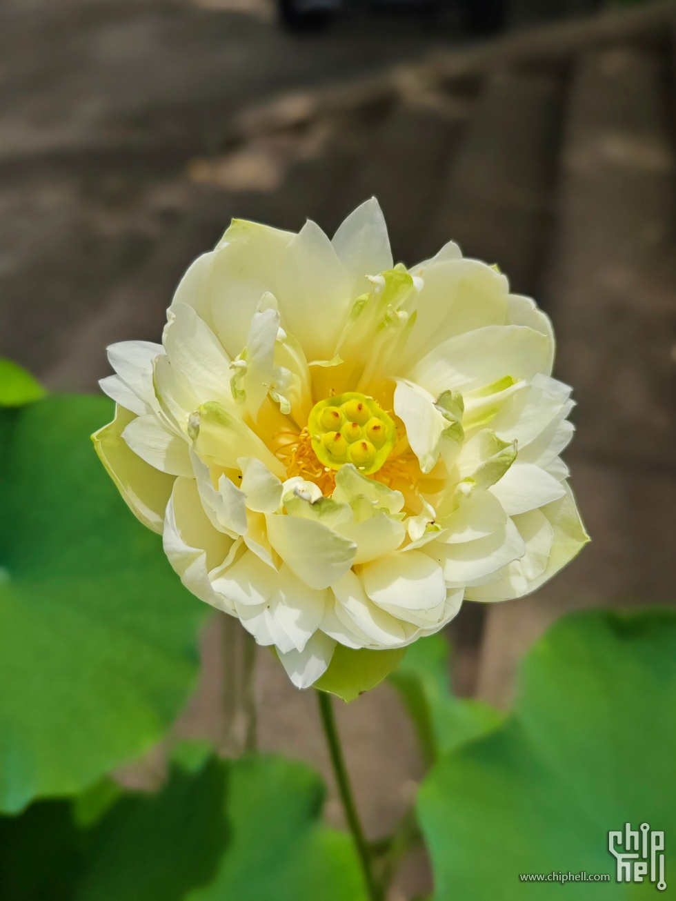 Image00015.jpg