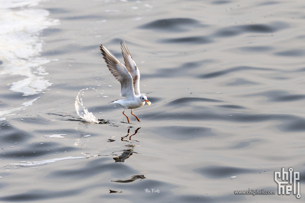 R1_L5876.jpg