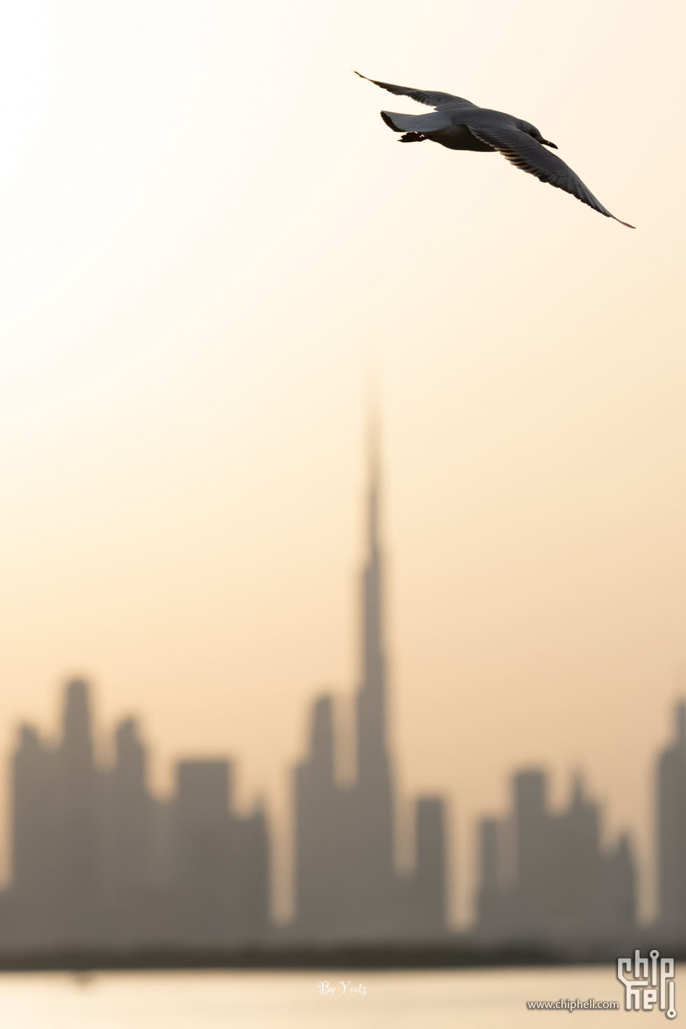 R1_L5624.jpg