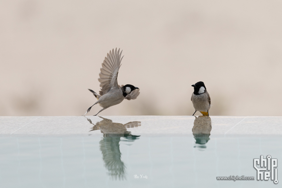 R1_L6779.jpg