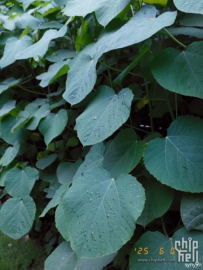 DSCF0045_resize.JPG