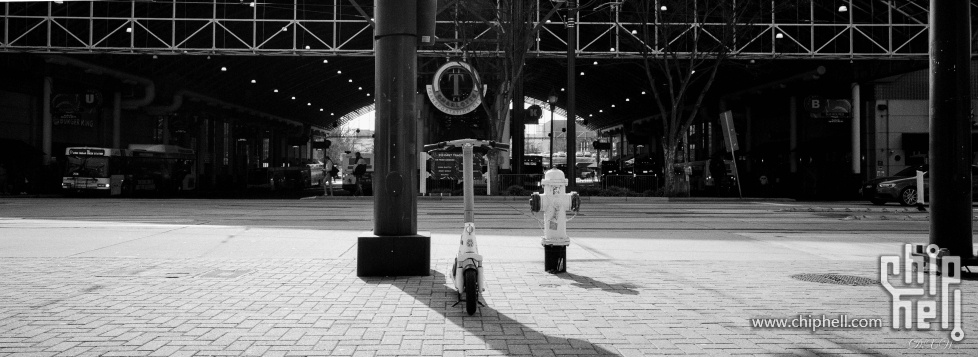 charlotte city walk 2025-1.jpg
