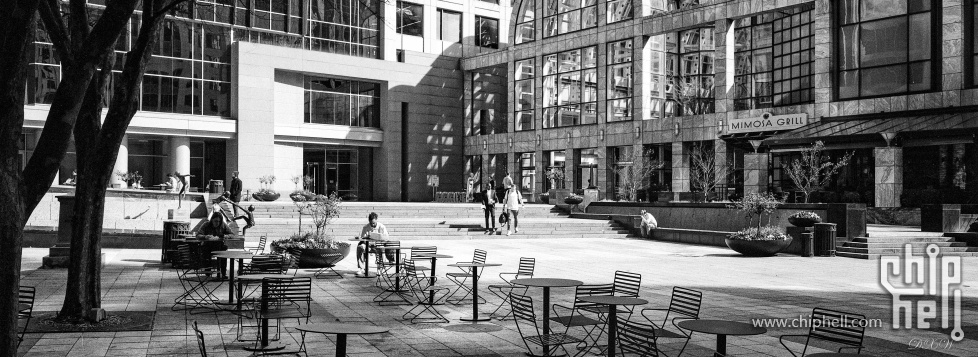 charlotte city walk 2025-10.jpg