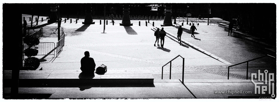 charlotte city walk 2025-21.jpg
