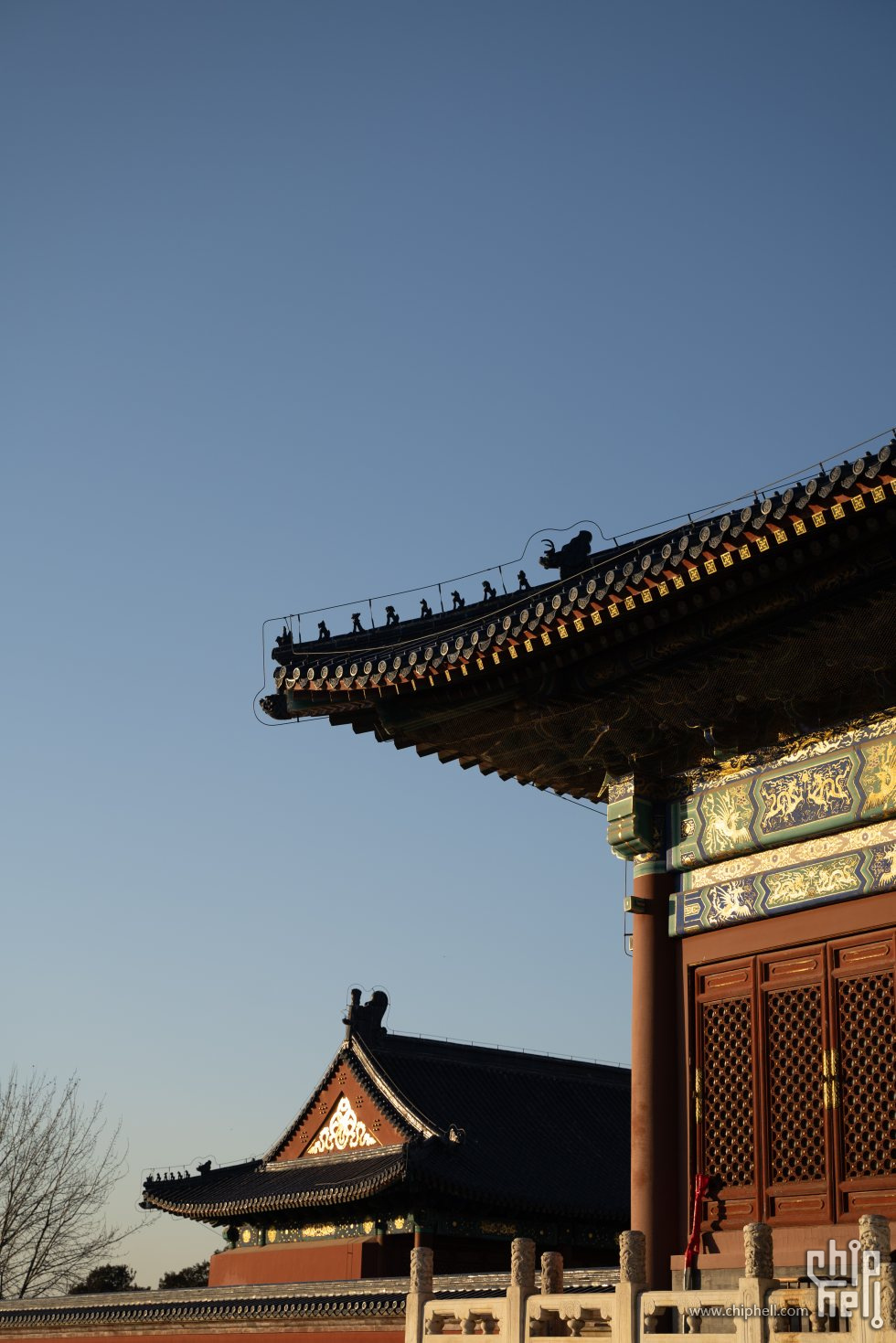 北京D2-130_chh.jpg