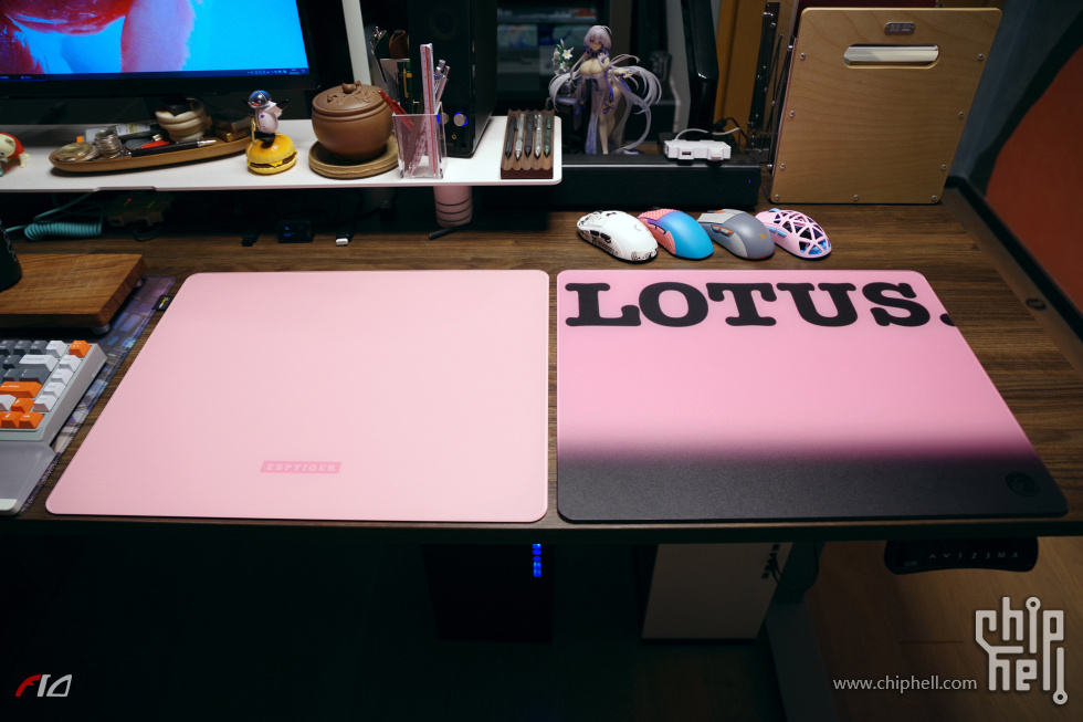 23_IMGP7313.JPG