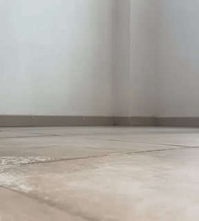 mh523-bys3j.gif