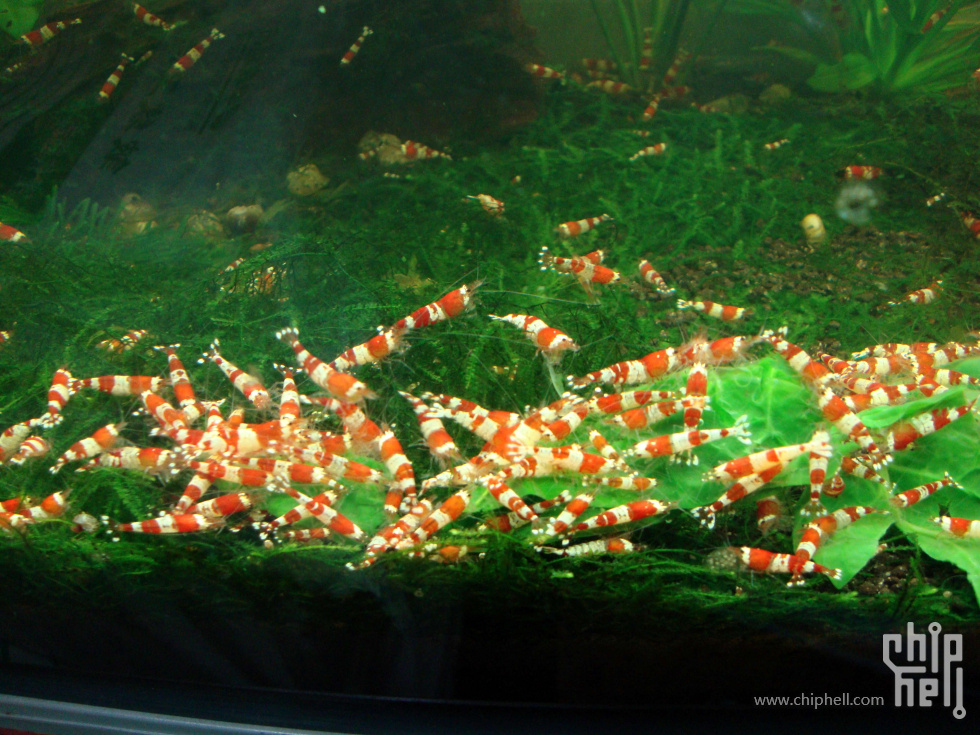 DSC01670.JPG