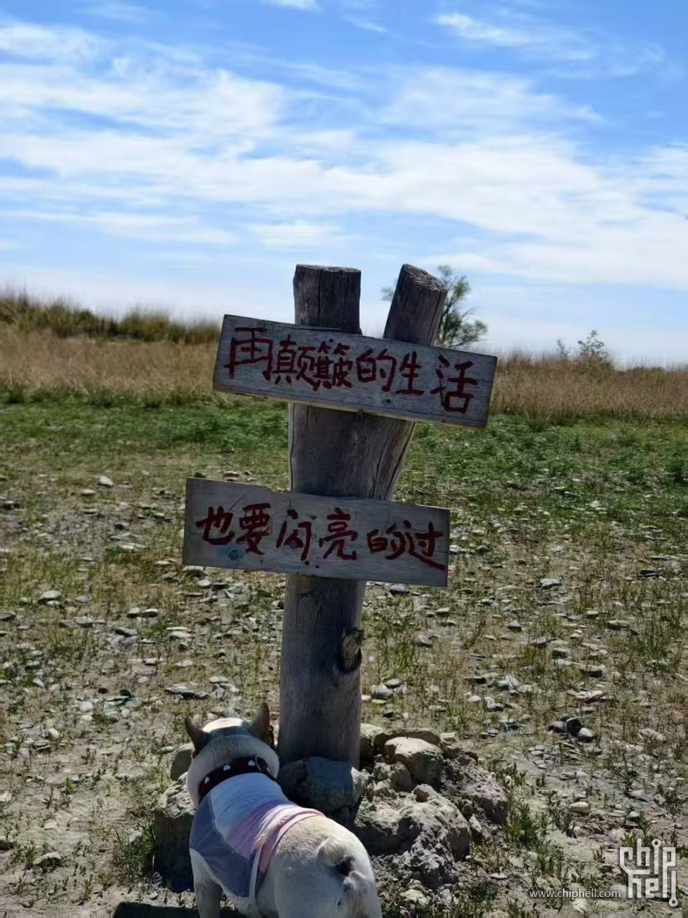 微信图片_20250602194625.jpg