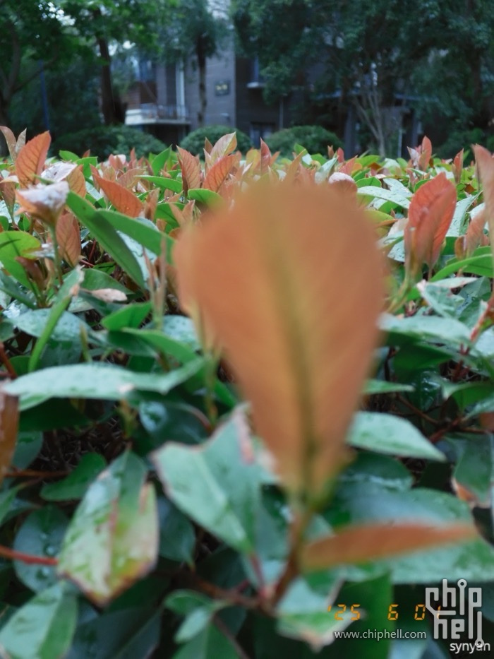DSCF0049_resize.JPG