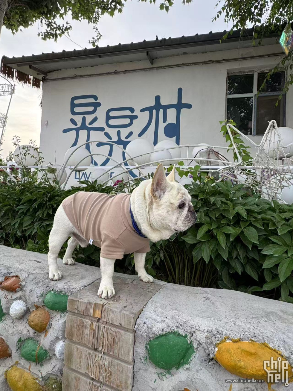 微信图片_20250602230219.jpg