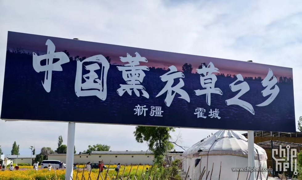 微信图片_20250602230240.jpg