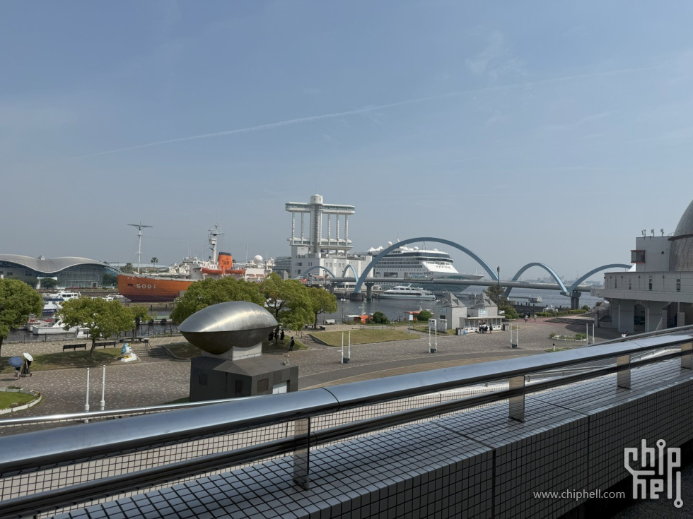 195.jpg