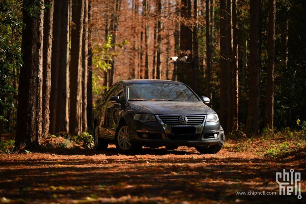 DSC_2769.jpeg