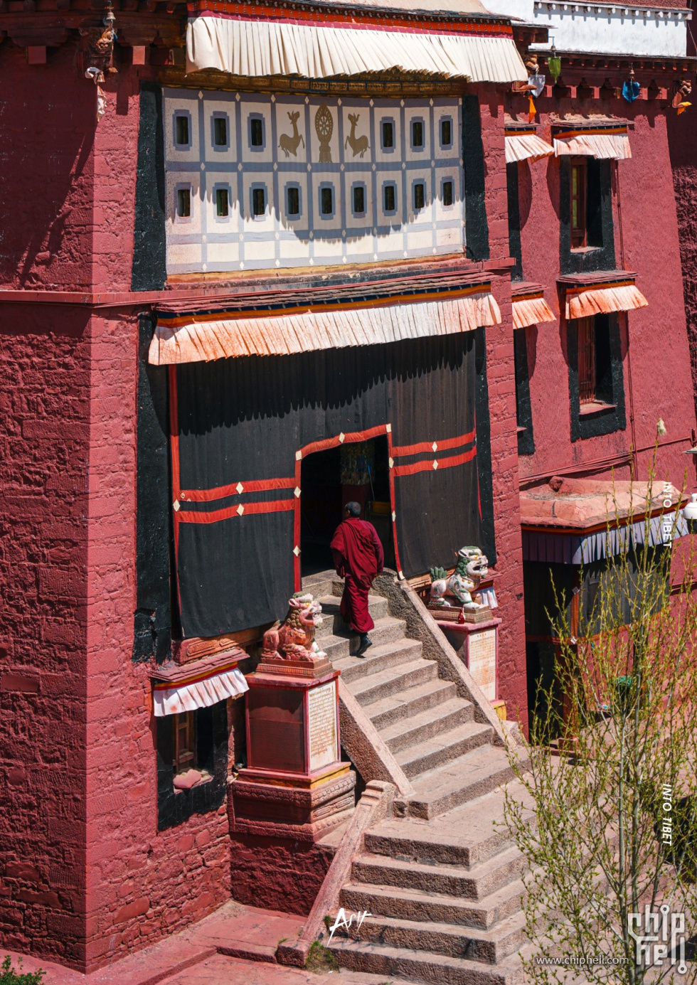 CorelSDK_0065.JPG