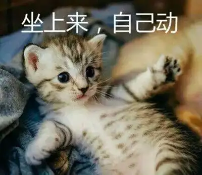 图片15.png