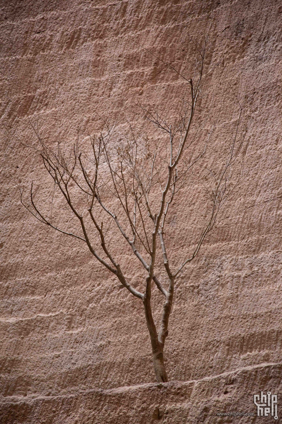 _MG_5693.jpg