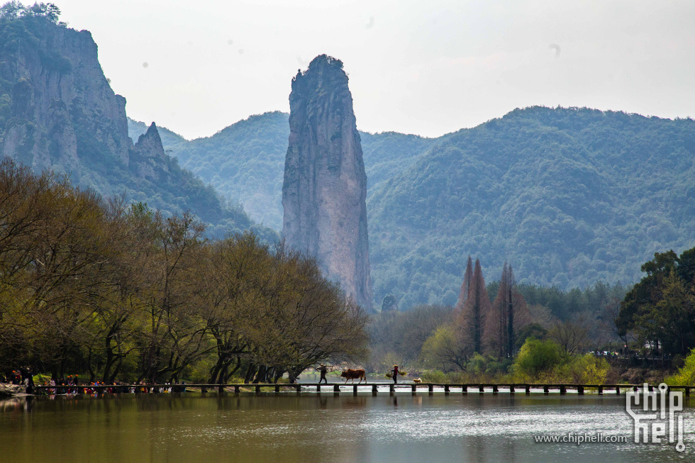 _MG_5900.jpg