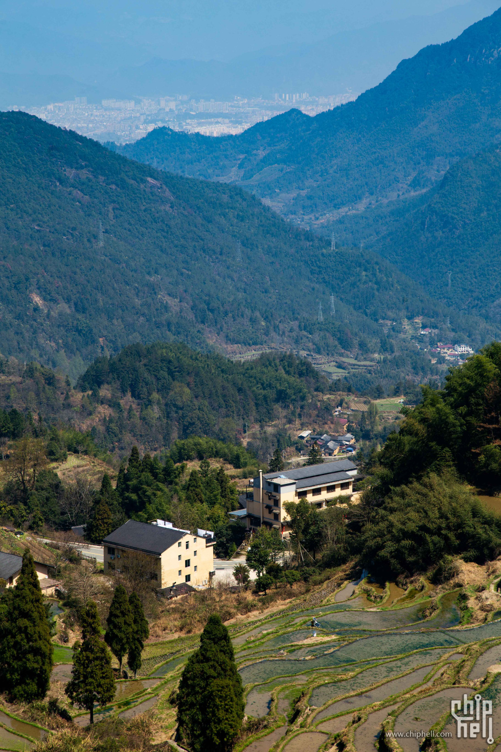 _MG_6175.jpg