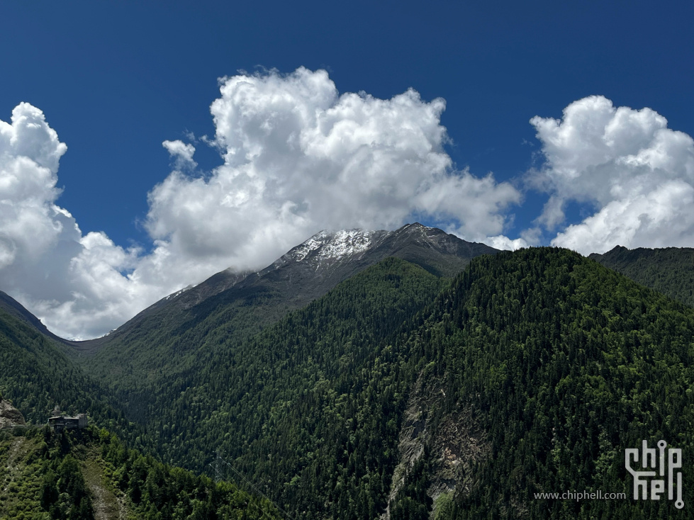 A8.jpg