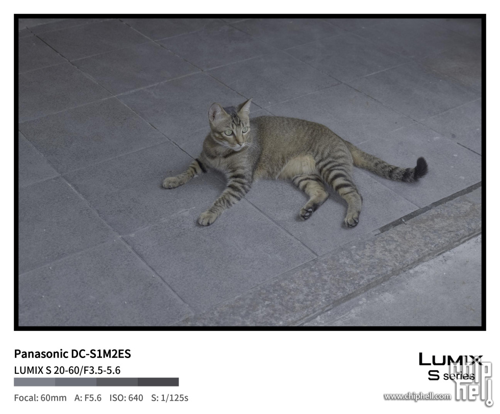 P1000465_auto_detect-testfont1.jpg