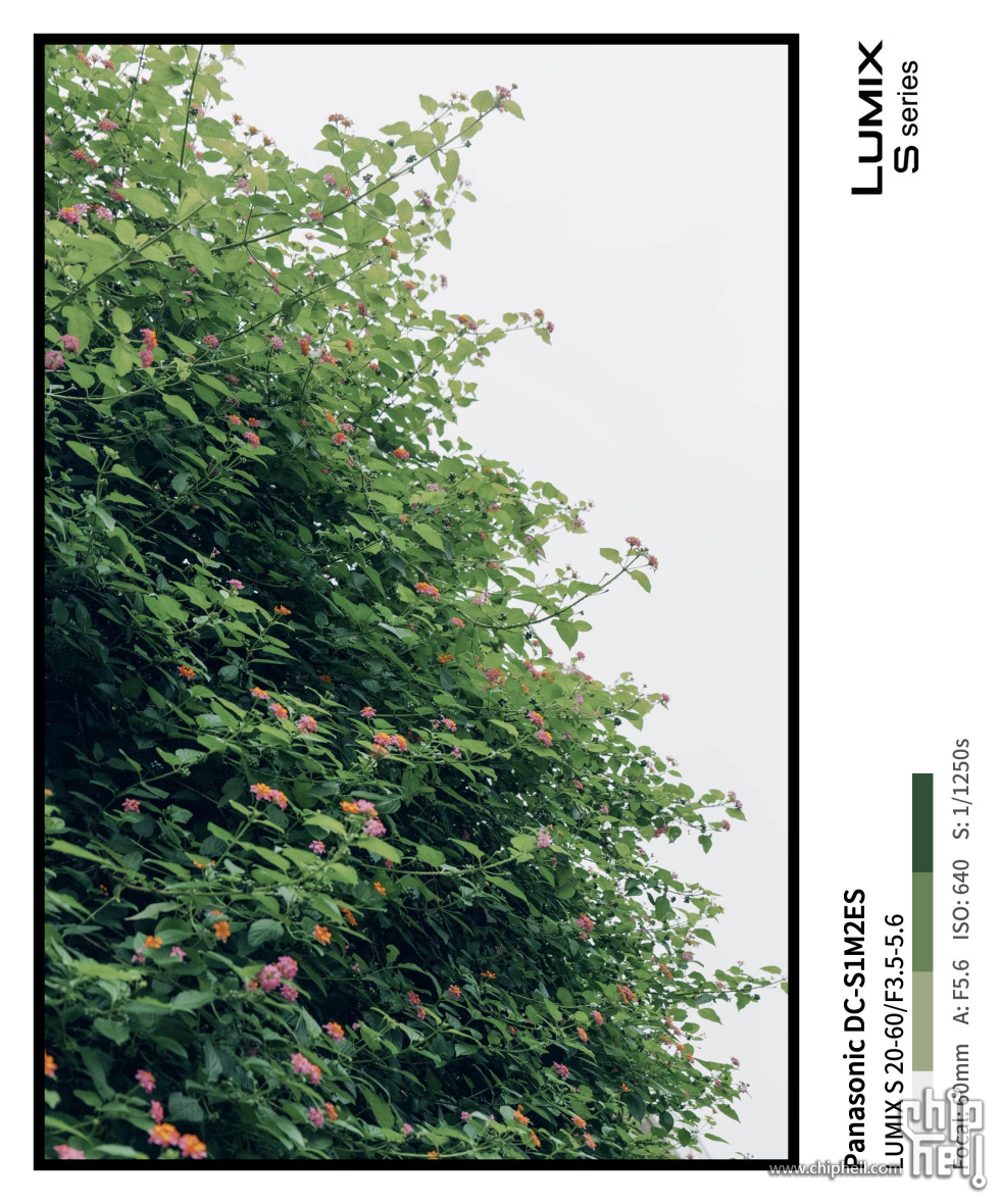 P1000466_auto_detect-testfont1.jpg