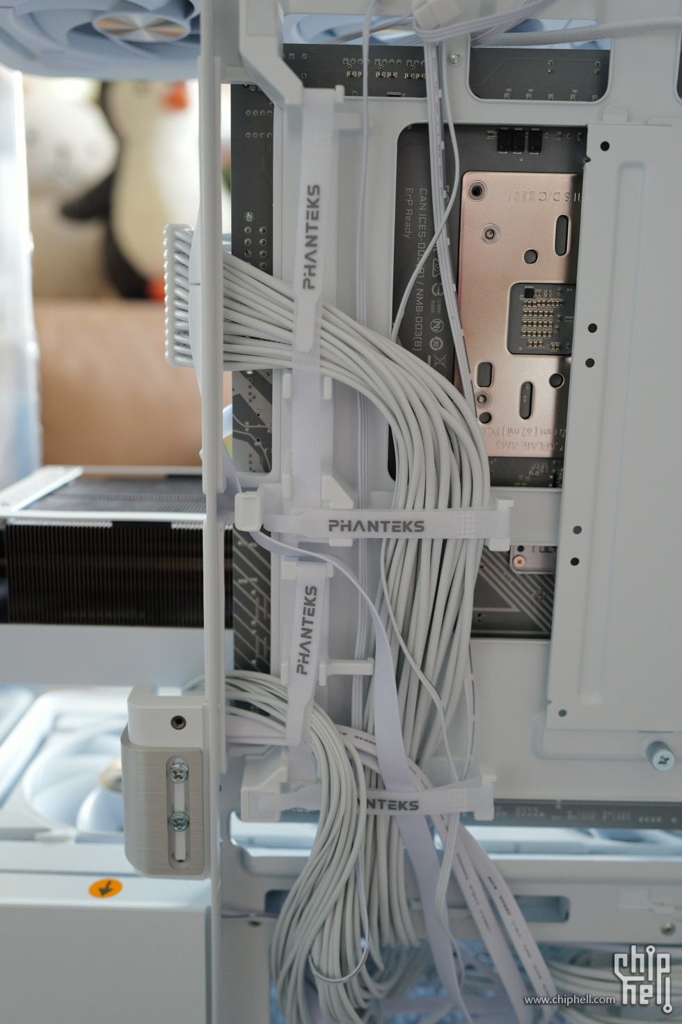 L1020374.JPG