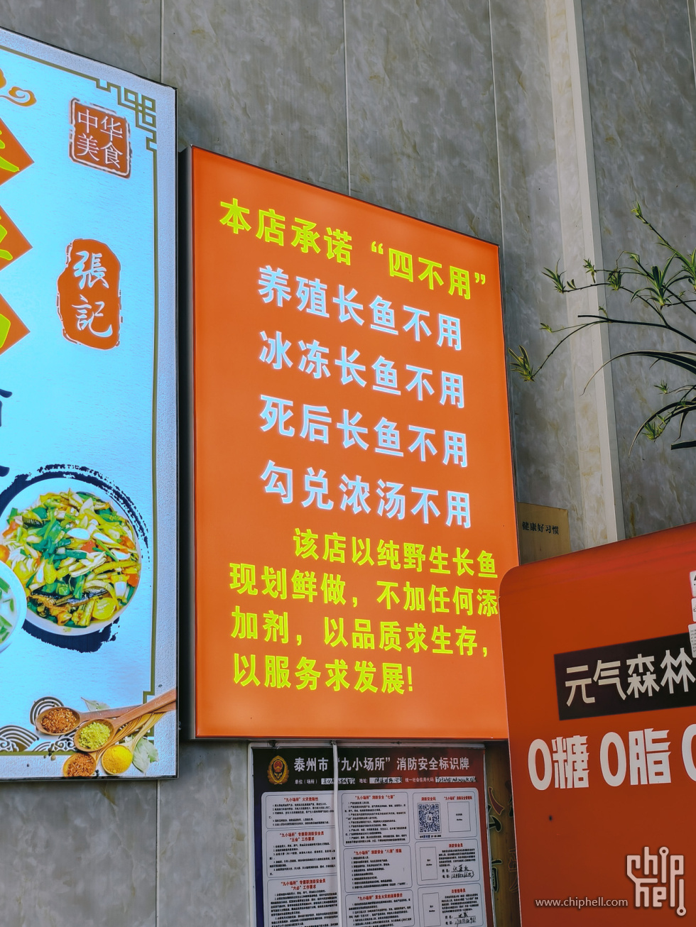 day1-000-2长鱼面 (6).jpg