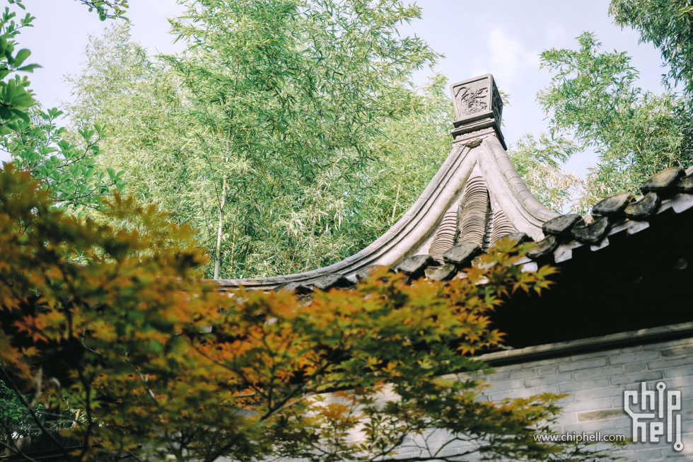 day1-001乔园 (6).jpg