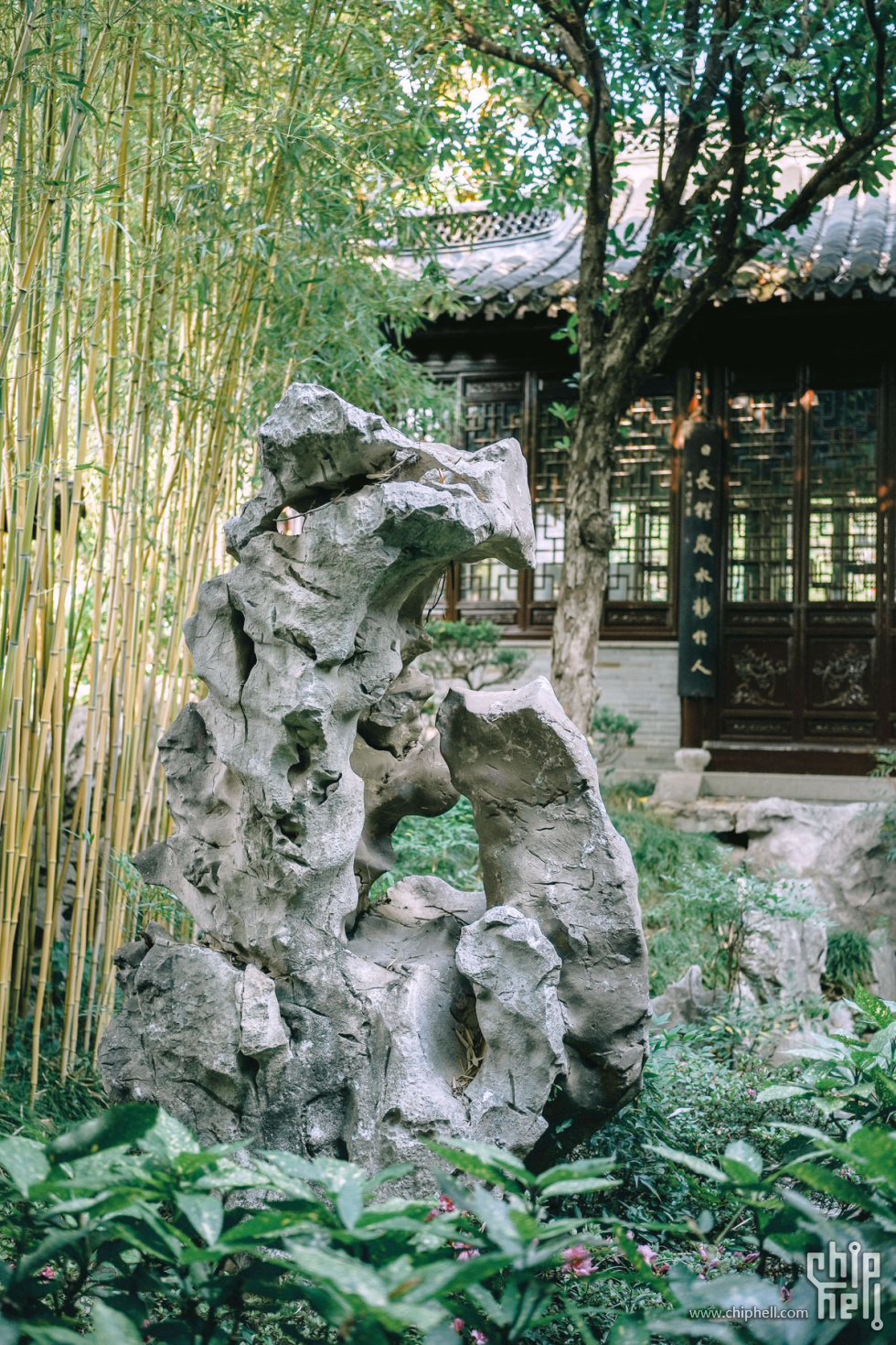day1-001乔园 (2).jpg