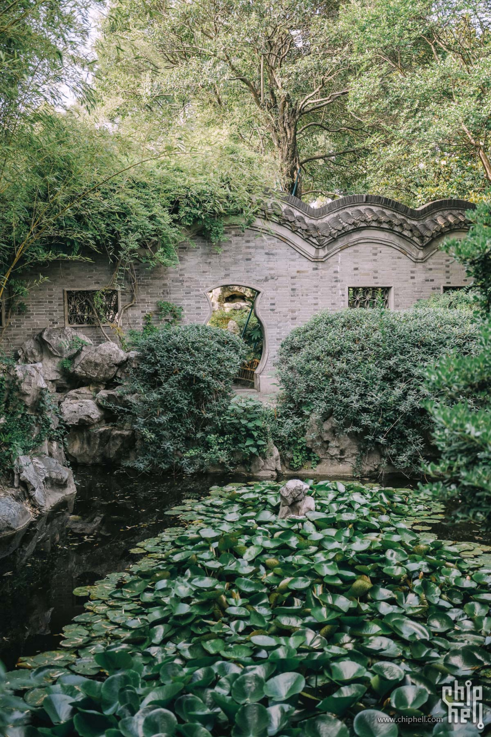 day1-001乔园 (15).jpg