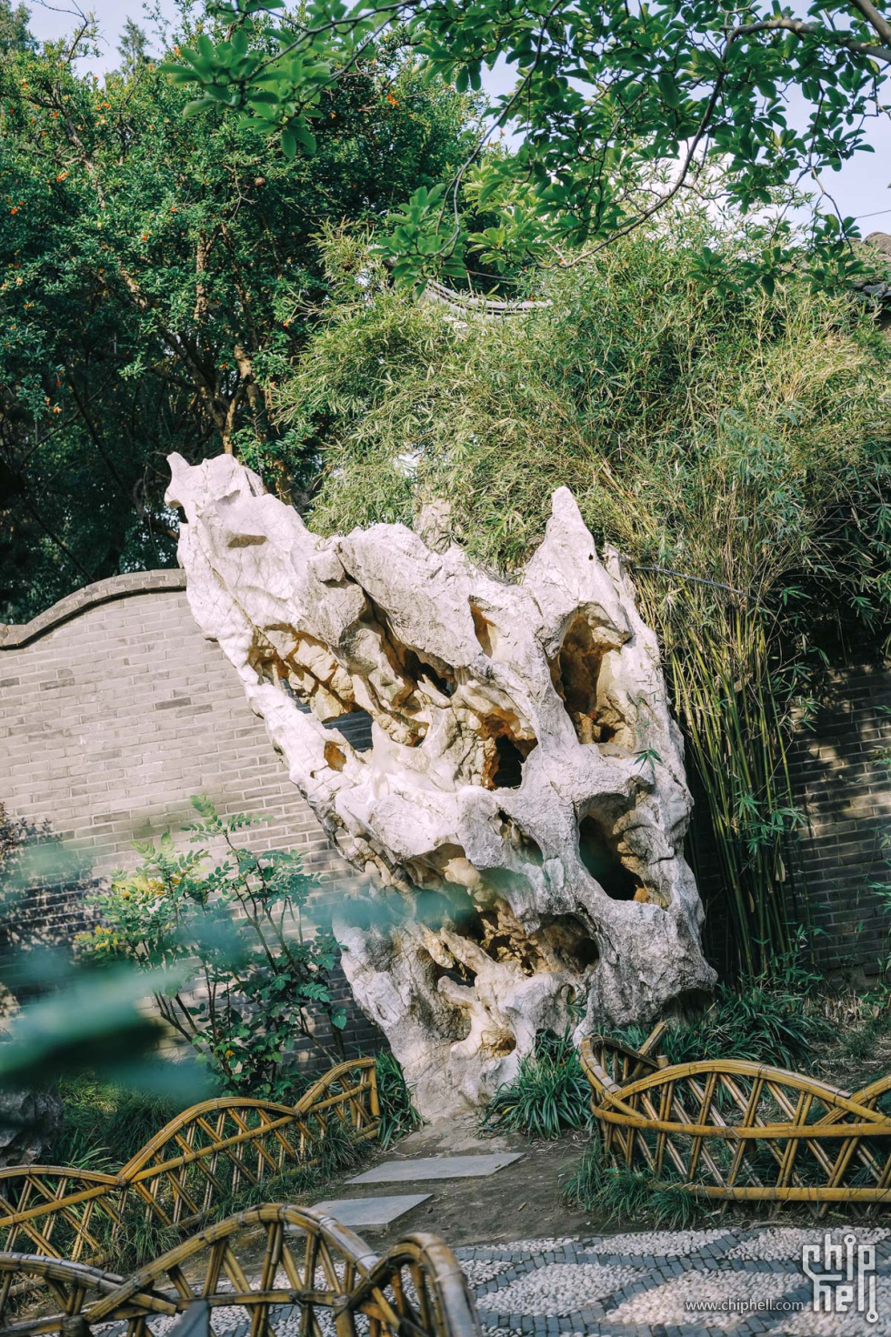 day1-001乔园 (40).jpg