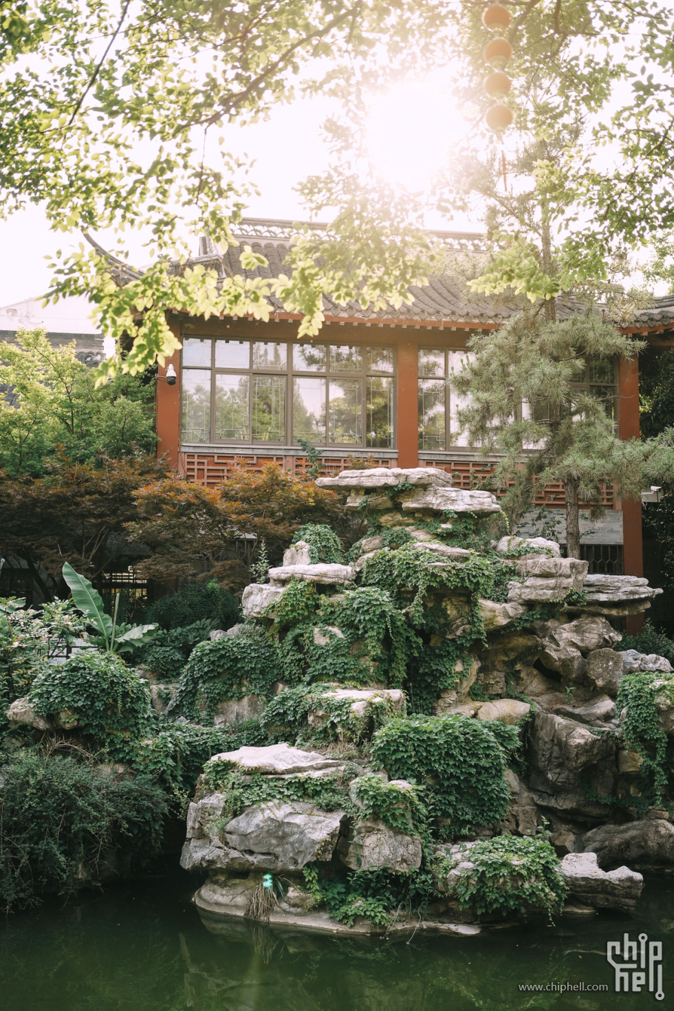day1-001乔园 (35).jpg