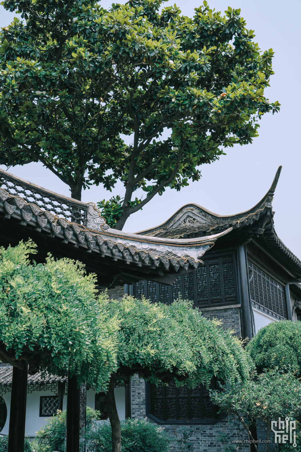 day2-003梅园.JPG (11).jpg