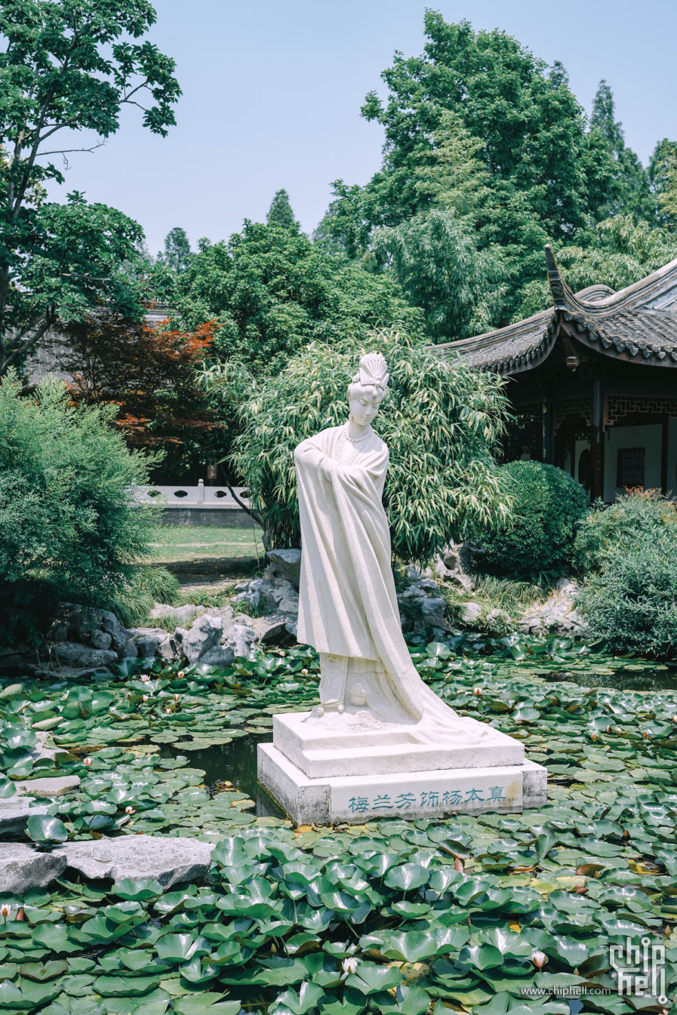 day2-003梅园.JPG (15).jpg