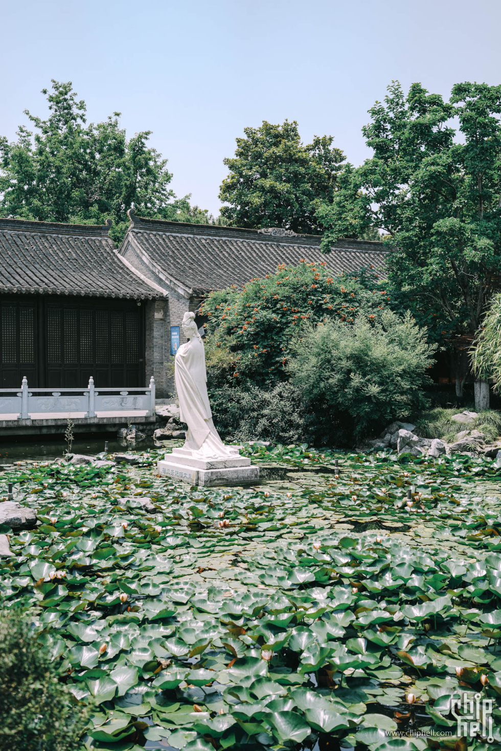 day2-003梅园.JPG (18).jpg