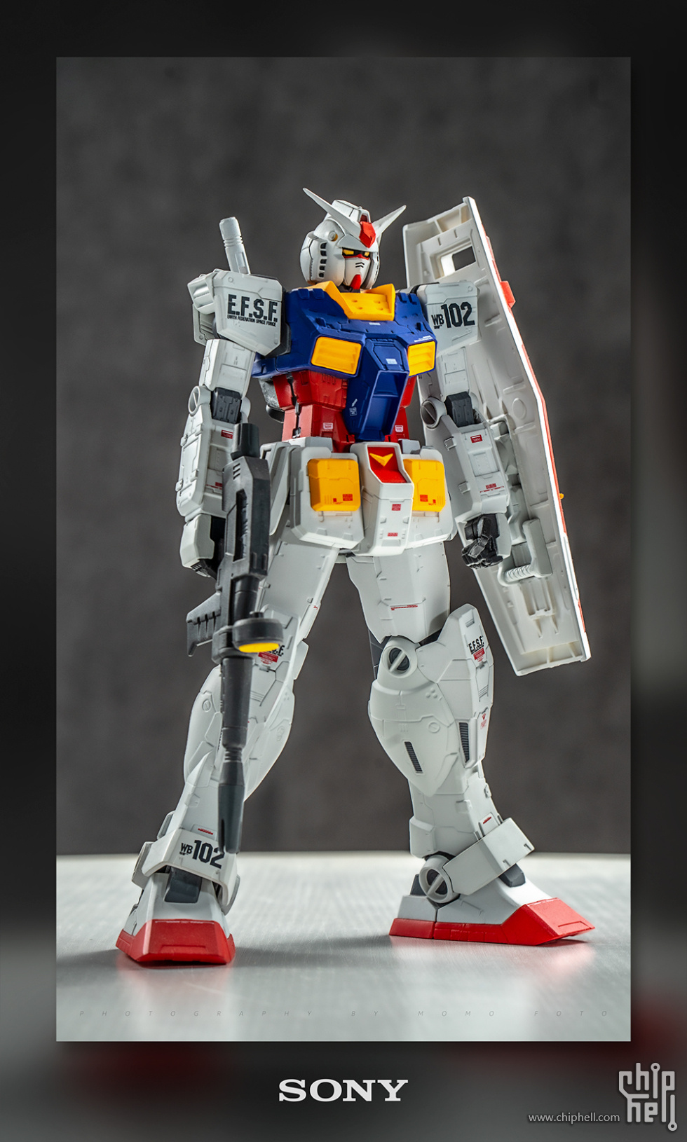 20250615-2.jpg