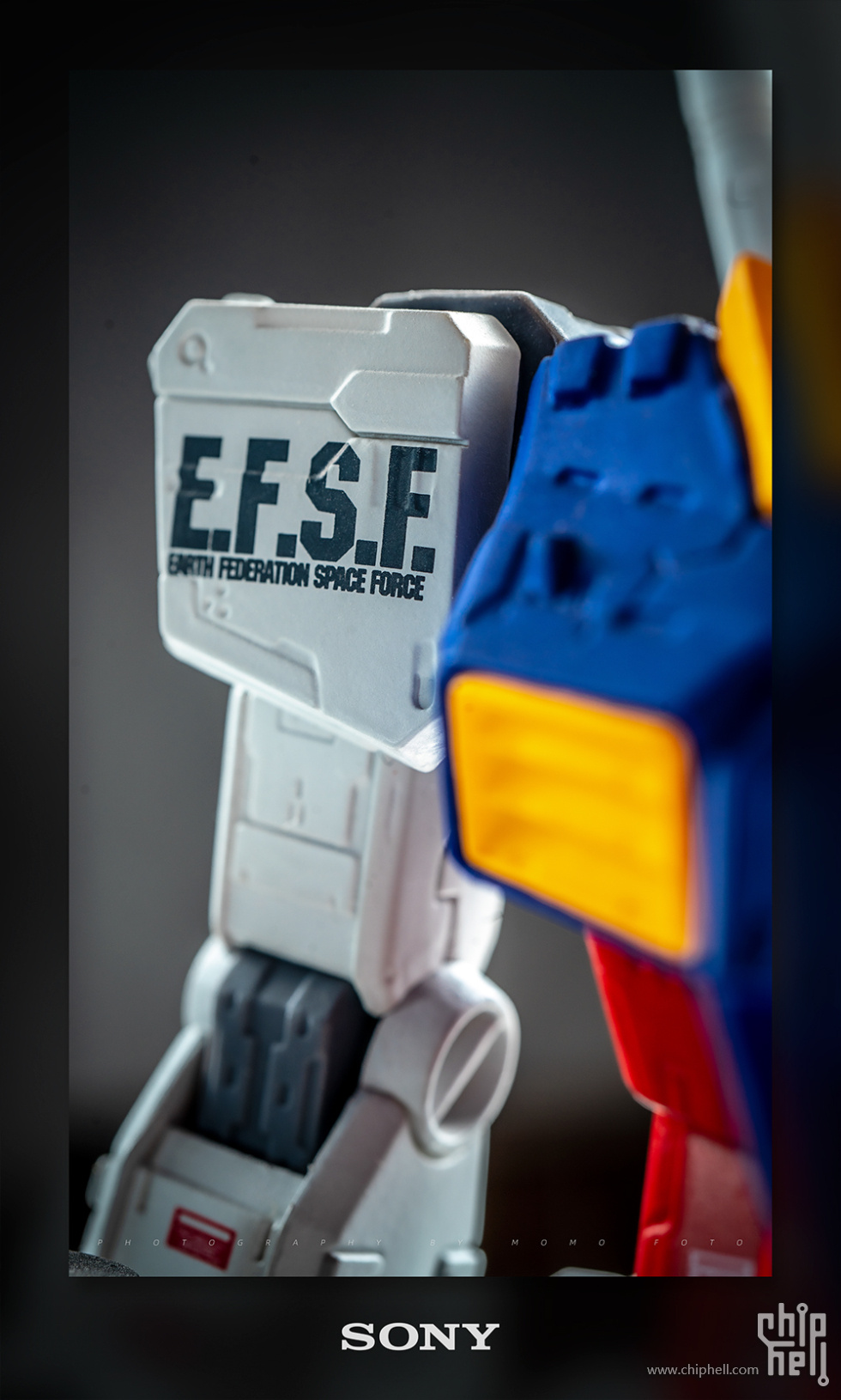 20250615-5.jpg