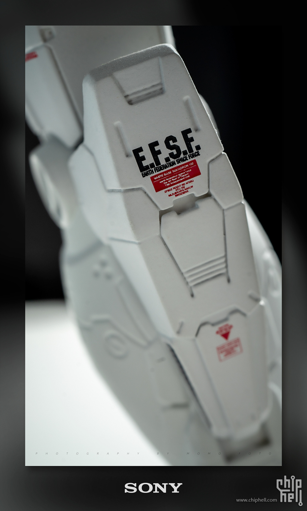20250615-7.jpg