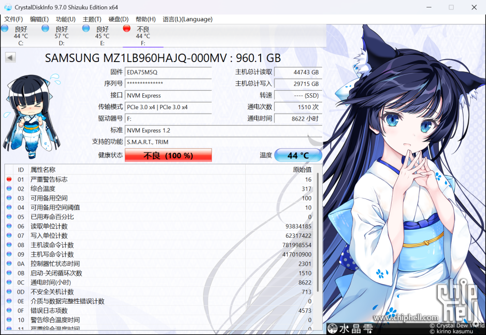 CrystalDiskInfo_20250617202707.png